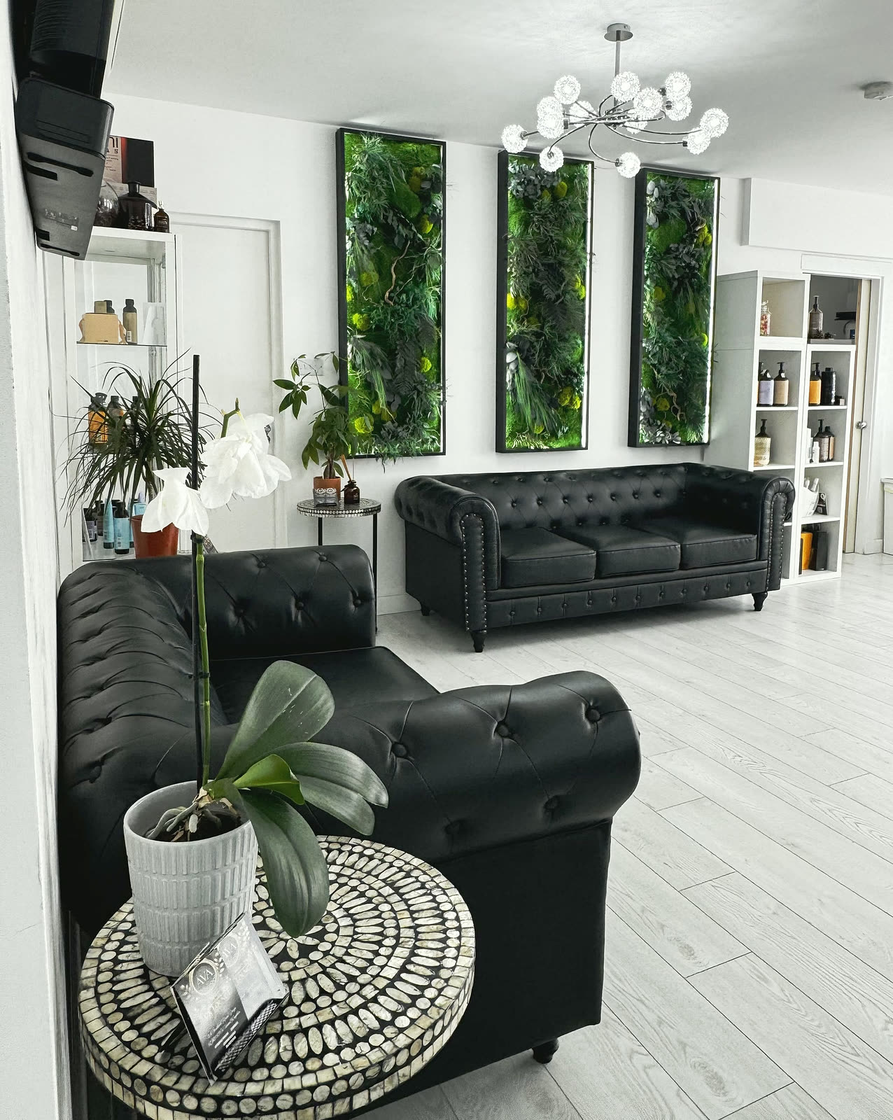 Waiting area with living green wall panels